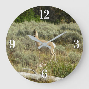 Reloj Redondo Grande Pronghorn en el Parque Nacional de Grand Teton