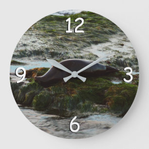 Reloj Redondo Grande Puerto de San Diego con foca iluminada por la pues