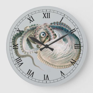 Reloj Redondo Grande Pulpo Argonauta, Animales de la Vida Marina Antigu