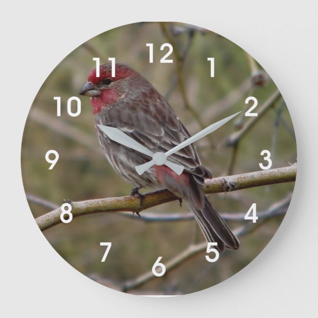 Reloj Redondo Grande Purple Finch (Anverso)