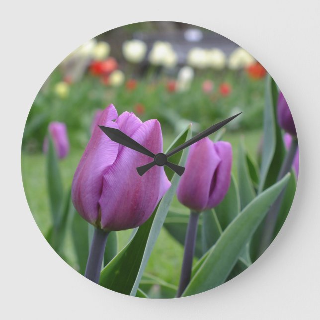 Reloj Redondo Grande Purple Tulips Wall Clock (Anverso)