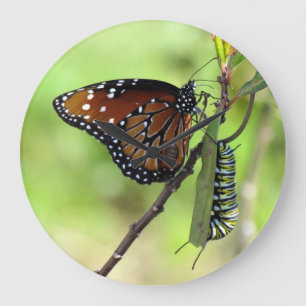 Reloj Redondo Grande Queen Butterfly / Monarch Caterpillar - Wall Clock