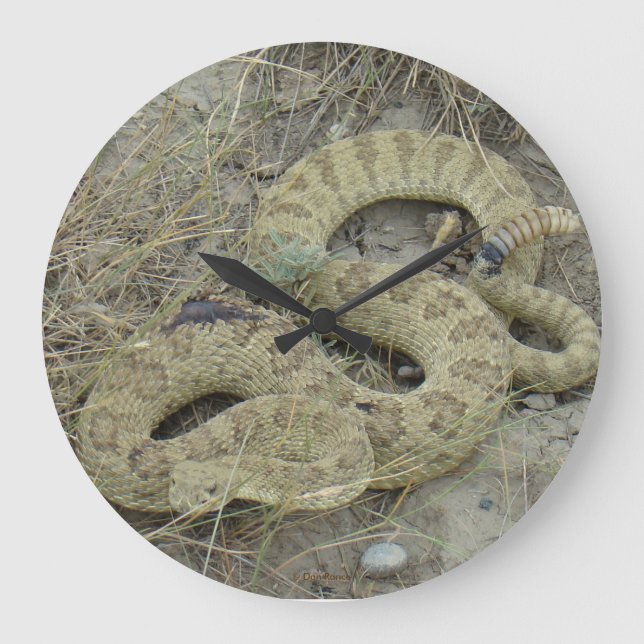 Reloj Redondo Grande R20 Prairie Rattlesnake (Anverso)