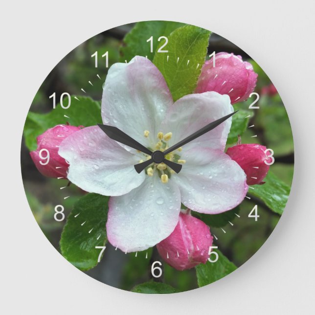Reloj Redondo Grande Rain drops on little flower (Anverso)