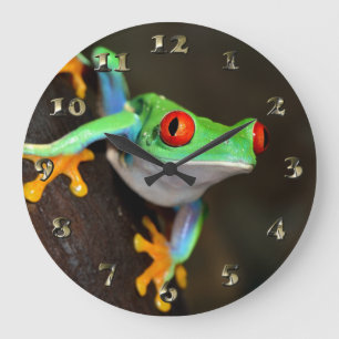 Reloj Redondo Grande Rana tropical de Red Eye - Agalychnis Callidryas