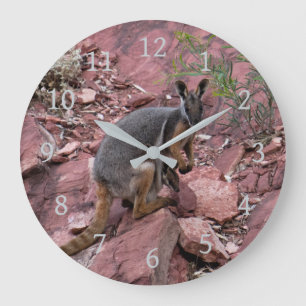 Reloj Redondo Grande Raro walabí de roca de patas amarillas y bebé Aust