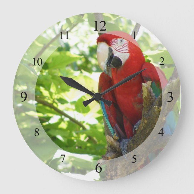 Reloj Redondo Grande Red and Gold Macaw Clock (Anverso)