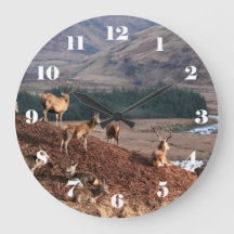 Red deer in Glen Etive, Highlands of Scotland