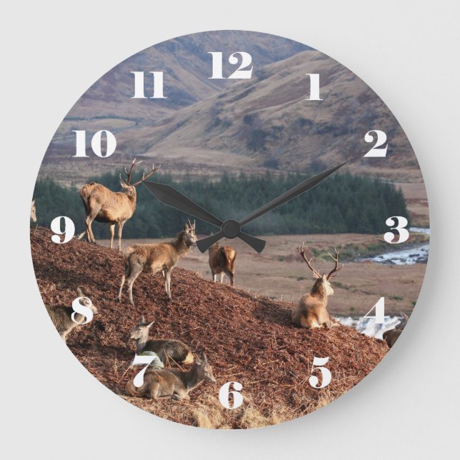 Reloj Redondo Grande Red deer in Glen Etive, Highlands of Scotland (Anverso)