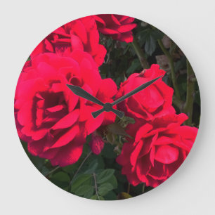 Reloj Redondo Grande Red Roses Rosarium
