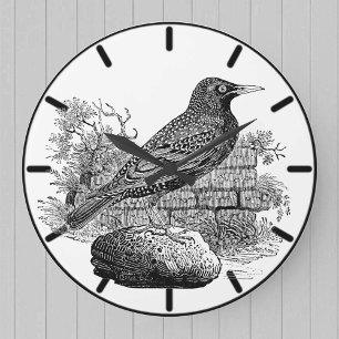 Reloj Redondo Grande Reloj grande de estornino británico