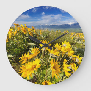 Reloj Redondo Grande Reserva Nacional de Bisontes