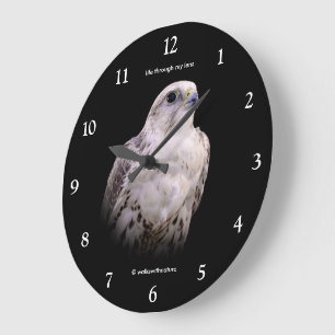 Reloj Redondo Grande Retrato con viñeta de un halcón sacre inquisitivo