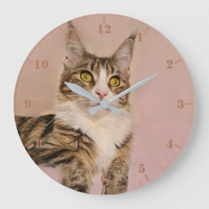 Reloj Redondo Grande Retrato de Maine Coon Kitten