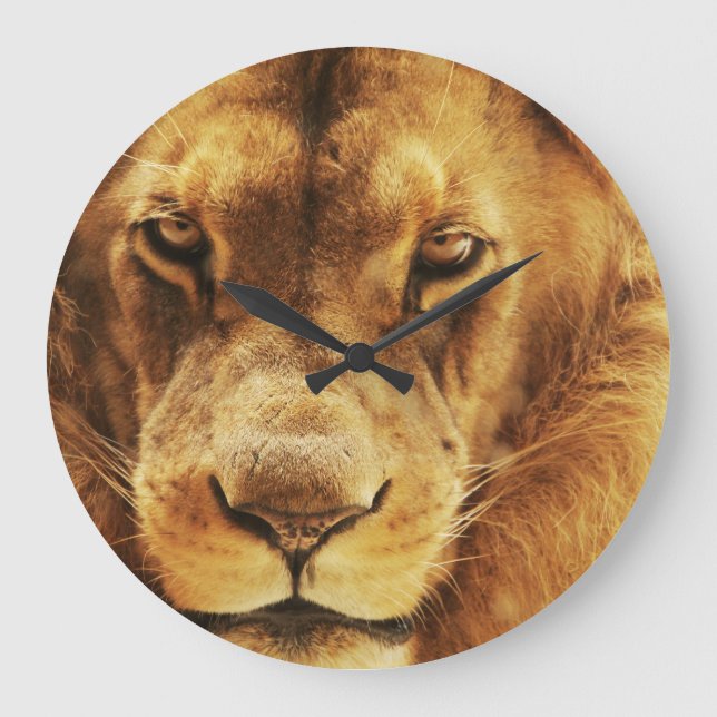 Reloj Redondo Grande Retrato de un león africano macho. (Anverso)