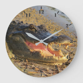 Reloj Redondo Grande Retrato del buscador de Florida