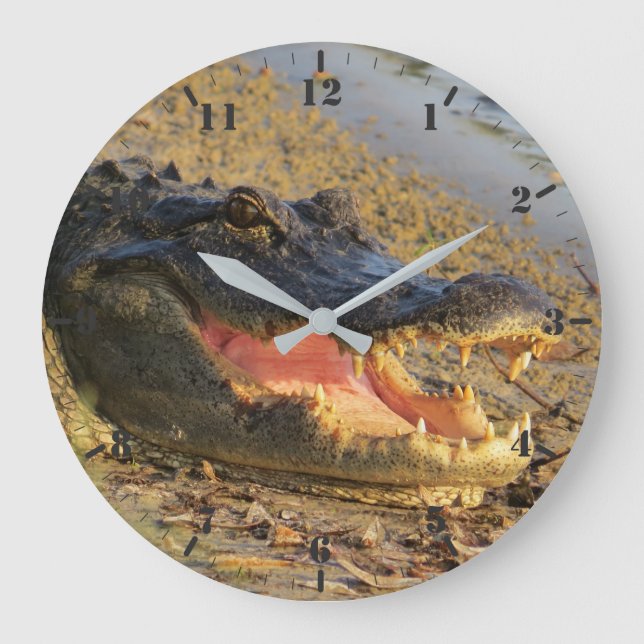 Reloj Redondo Grande Retrato del buscador de Florida (Anverso)