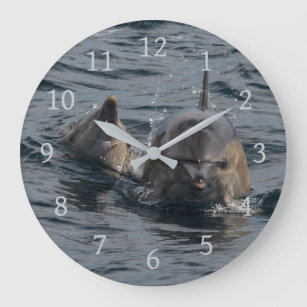 Reloj Redondo Grande Retrato del primer de los delfínes, Tasmania,