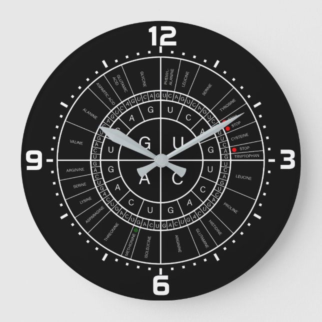 Reloj Redondo Grande RNA a AMINO ÁCIDO CODON WHEEL (Anverso)