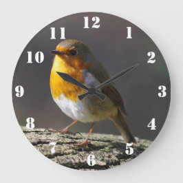 Reloj Redondo Grande Robin Clock