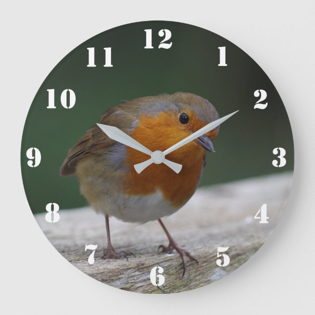 Reloj Redondo Grande Robin Clock (Anverso)