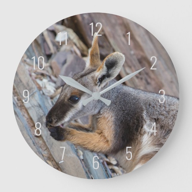 Reloj Redondo Grande Rock con pies amarillos Wallaby Kangaroo Australia (Anverso)