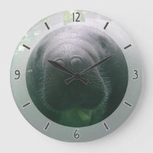Ronda grande del reloj descuidado del Manatee