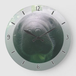 Reloj Redondo Grande Ronda grande del reloj descuidado del Manatee