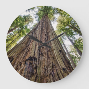 Reloj Redondo Grande Roosevelt Grove