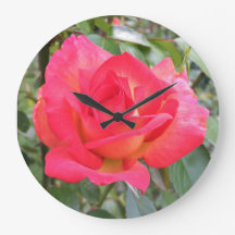 Rosa arcoiris