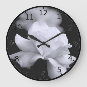 Reloj Redondo Grande Rosa De Hoja Blanca Suelta Sobre Fondo Negro