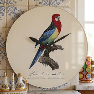 Reloj Redondo Grande Rosella oriental o perico Platycercus eximius