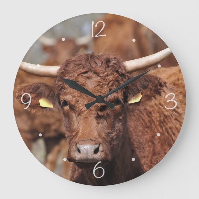 Reloj Redondo Grande Salers brown horned cow (Anverso)