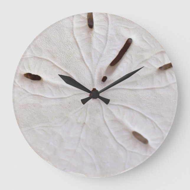 Reloj Redondo Grande Sand Dollar Beach Coastal White Grey Trendy Guay (Anverso)