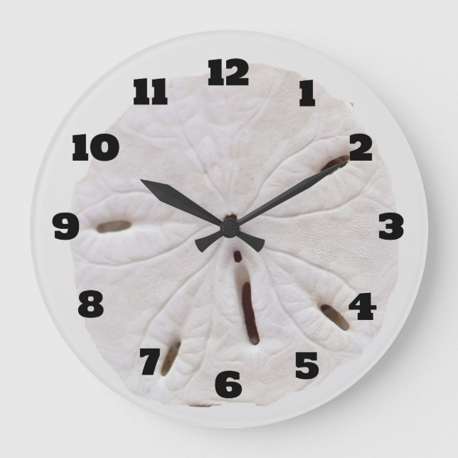 Reloj Redondo Grande Sand Dollar Beach Seashelbeach Natural Trendy (Anverso)