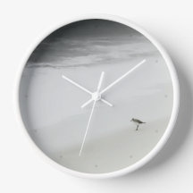 Sandpiper costero en la playa