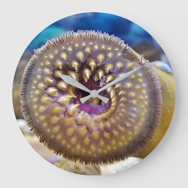 Reloj Redondo Grande Sea Lamprey Mouth (Anverso)