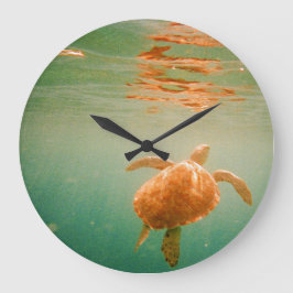 Reloj Redondo Grande Sea Turtle Lage Wall Clock