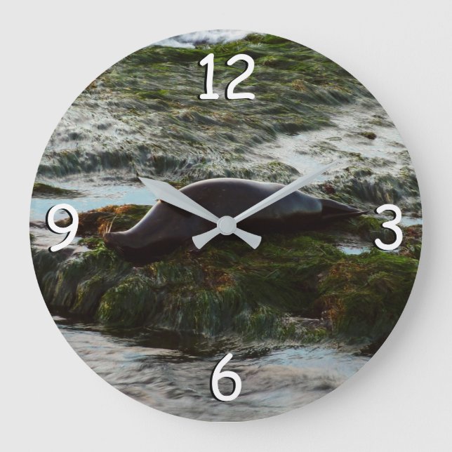 Reloj Redondo Grande Sello de puerto de luz solar II en San Diego (Anverso)
