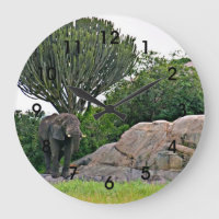 Serengeti Kopje - Tanzania, África
