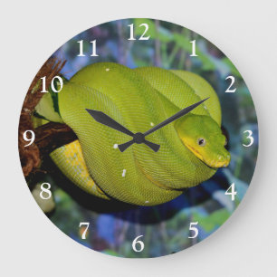 Reloj Redondo Grande Serpiente de árbol esmeralda