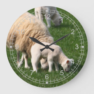 Reloj Redondo Grande Sheep and lambs