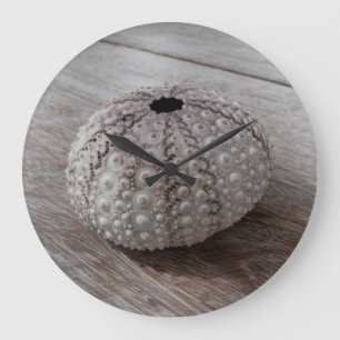 Reloj Redondo Grande Shell encima de una tabla de madera