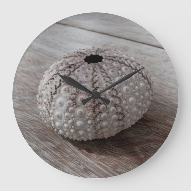 Reloj Redondo Grande Shell encima de una tabla de madera (Anverso)
