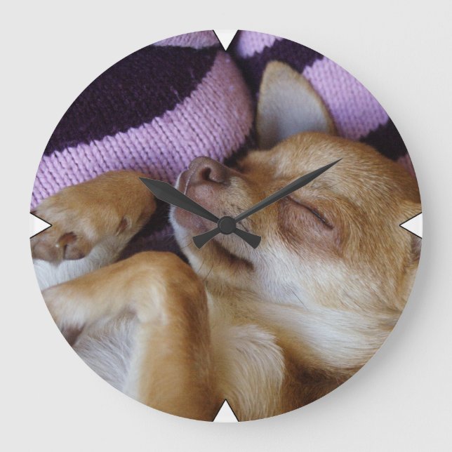 Reloj Redondo Grande Sleeping Chihuahua (Anverso)