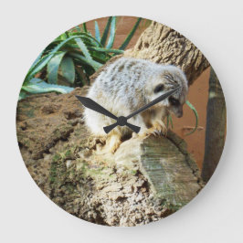 Reloj Redondo Grande Sleepy Meerkat En Un Registro,