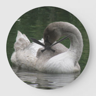 Reloj Redondo Grande Sleepy Swan Clock