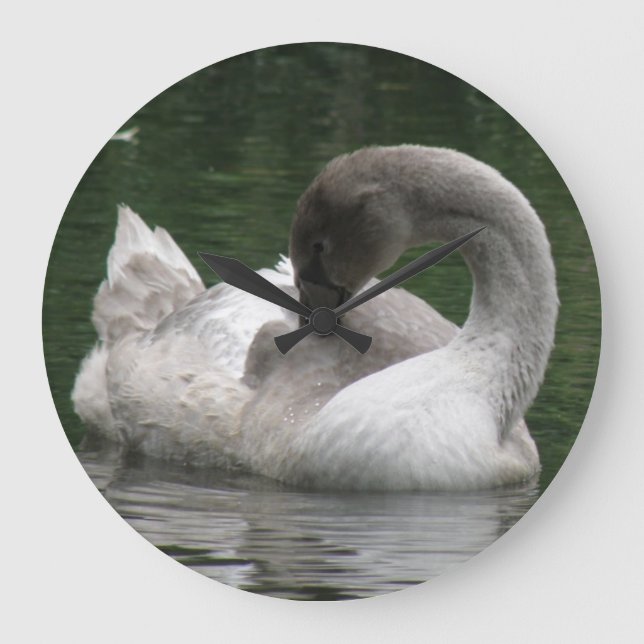 Reloj Redondo Grande Sleepy Swan Clock (Anverso)