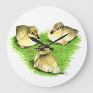 Reloj Redondo Grande Snowy Mallard Ducklings