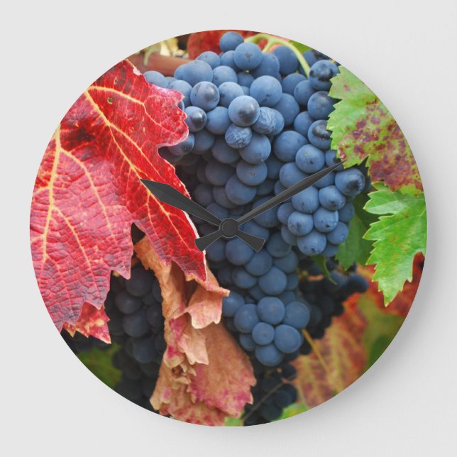 Reloj Redondo Grande Sonoma en la caída (Anverso)